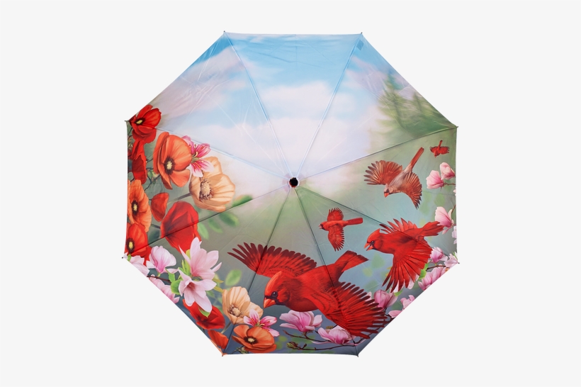 Item - Galleria Auto Folding Umbrella - Cardinals, transparent png download