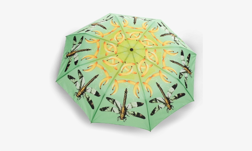 Dragonfly Folding Umbrella Dragonfly Folding Umbrella - La Brella Opvouwbare Paraplu Dragonfly, transparent png download