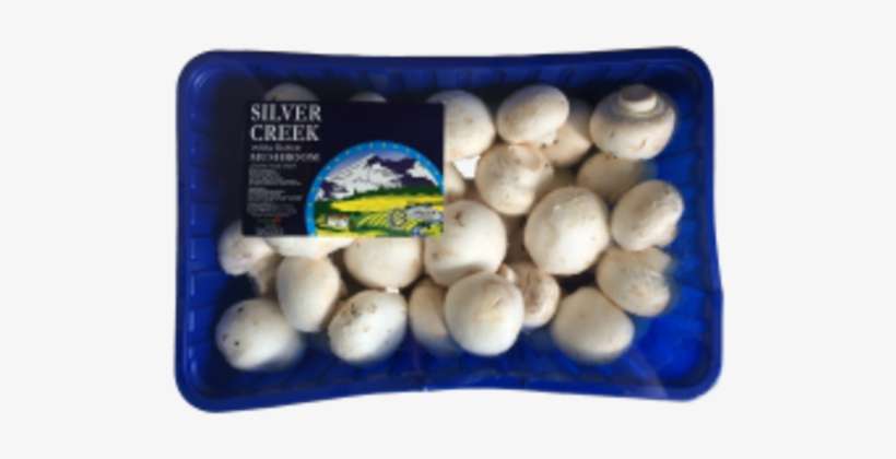 Silver Greek White Button Mushroom 1kg/pack Horeca - Silver, transparent png download