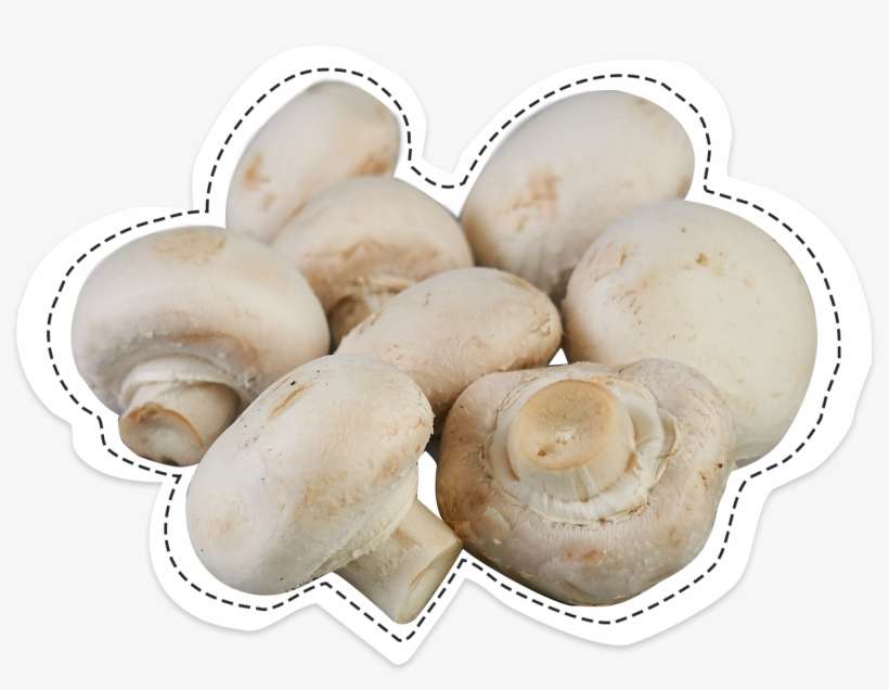 Button Mushroom, The Famous, Back To Its Origins - Champignon Paris, transparent png download
