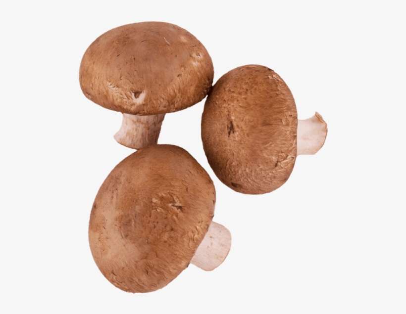 2 Unit - Mushroom, transparent png download
