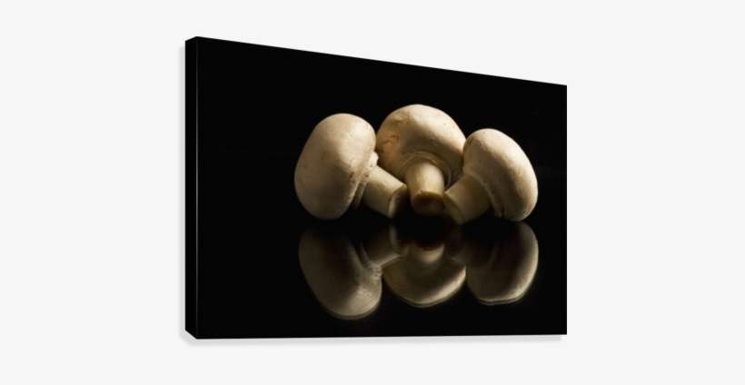 Three Button Mushrooms Backlit And Reflecting On Black - Calgary, transparent png download