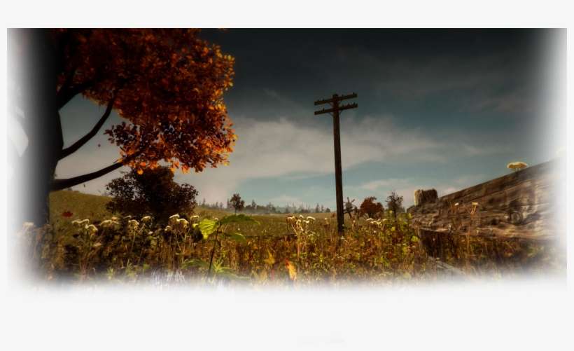 The District Background Russian Field - Tree, transparent png download