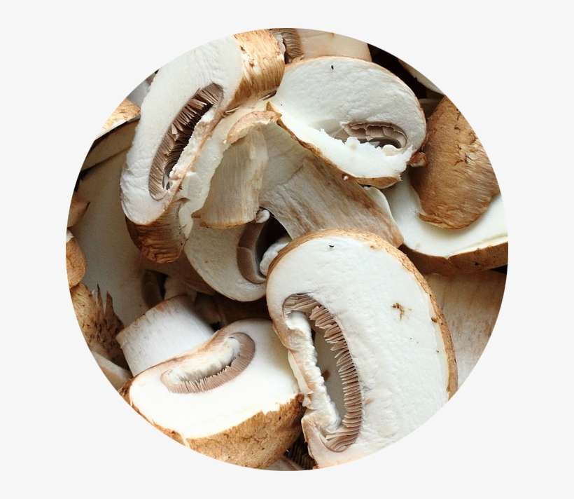 Button Mushrooms - Common Mushroom, transparent png download
