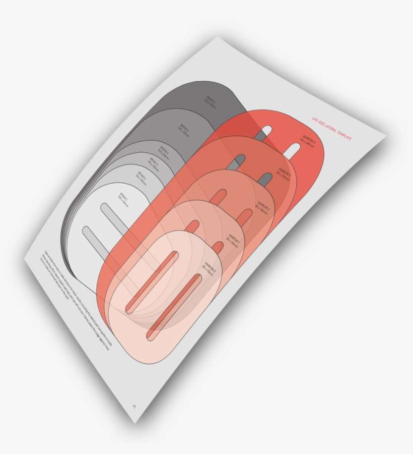 Spex Life-size Lateral Template - Illustration, transparent png download