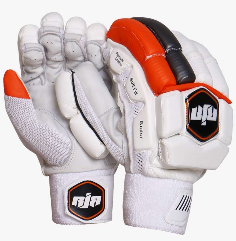 Why - Cricket, transparent png download