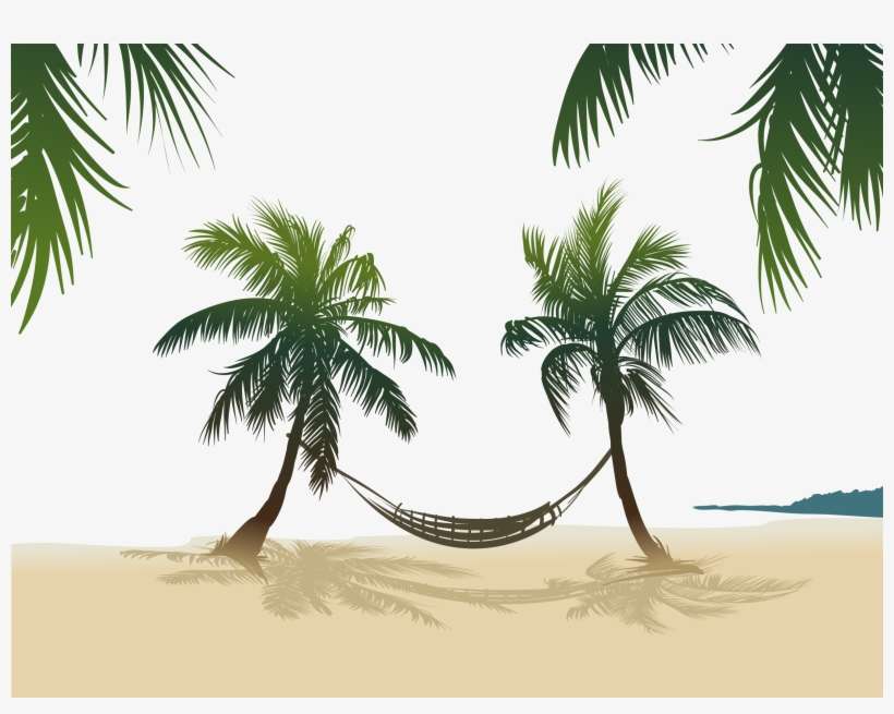 Hammock Between Two Palms Trees, transparent png download