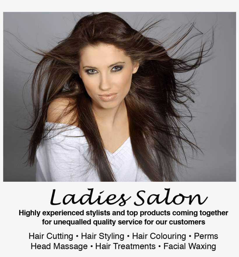 Wheelchair Accessibility Free Wi-fi Free Coffee We - Imagination Vs Reality Meme, transparent png download