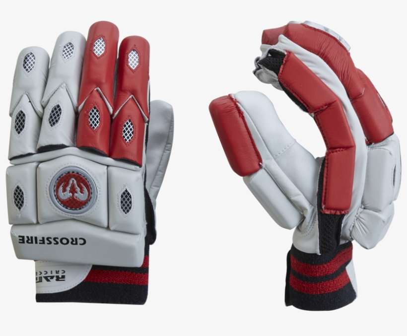 Cricket, transparent png download