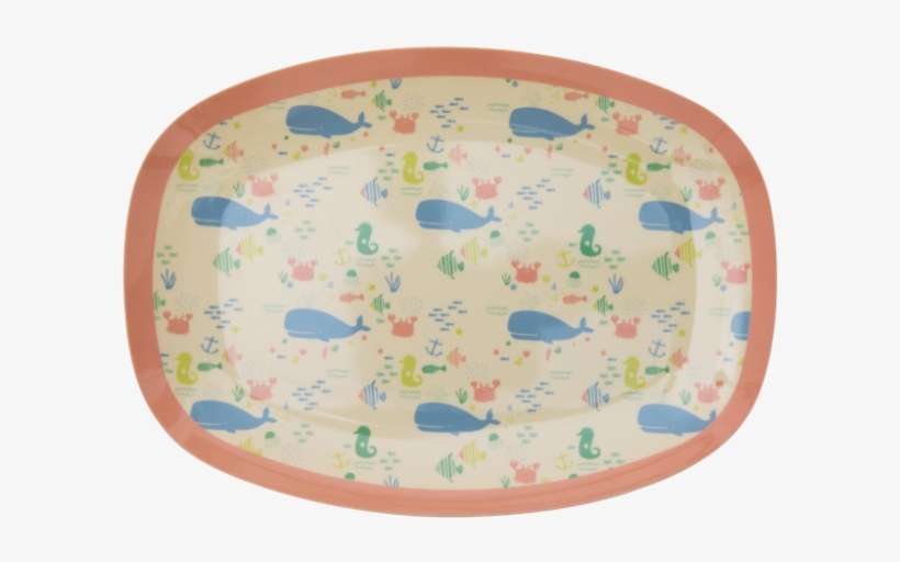 Ocean Life Print Small Rectangular Melamine Plate Rice - Plate, transparent png download