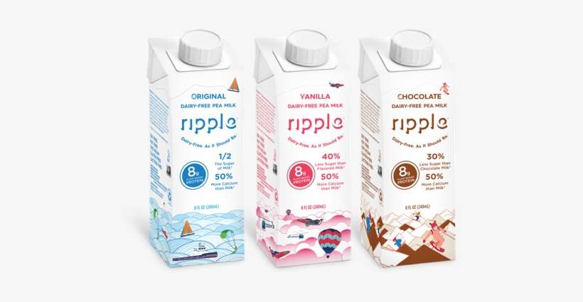 Kids Ripple Plant Based Pea Milk Chocolate 4 Pack Png Image Transparent Png Free Download On Seekpng