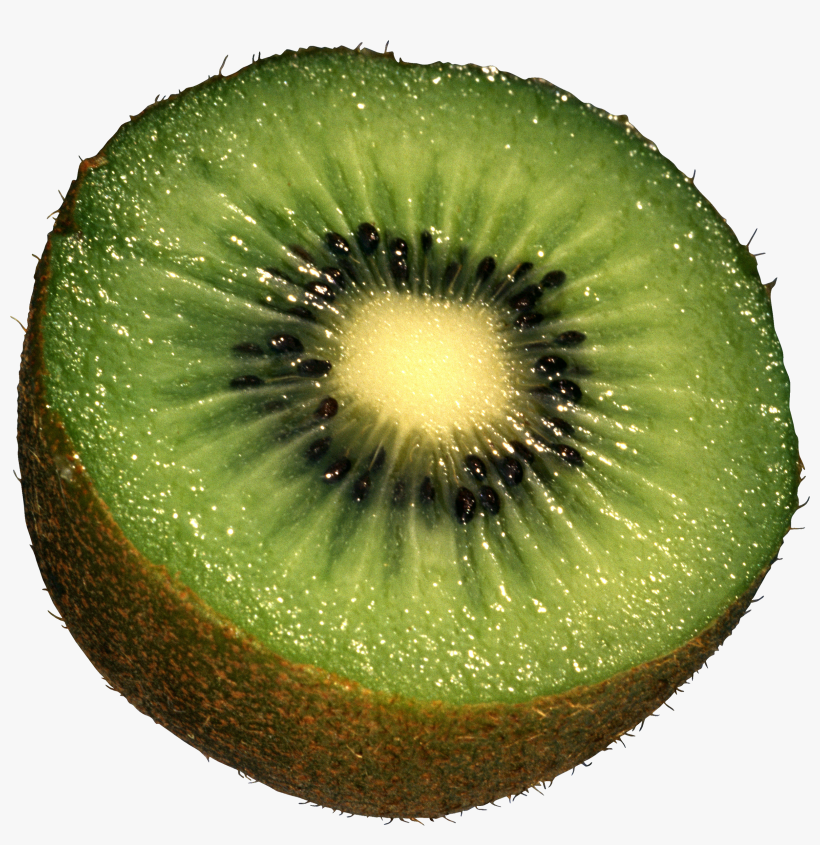 It Is A Commercial Crop In Several Countries, Such - Kiwi Png, transparent png download
