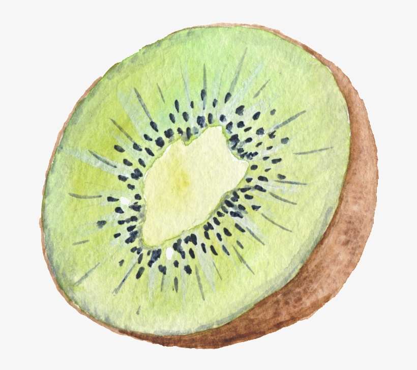 Green Hand Painted Kiwi Cartoon Transparent Fruit Png - Kiwifruit, transparent png download