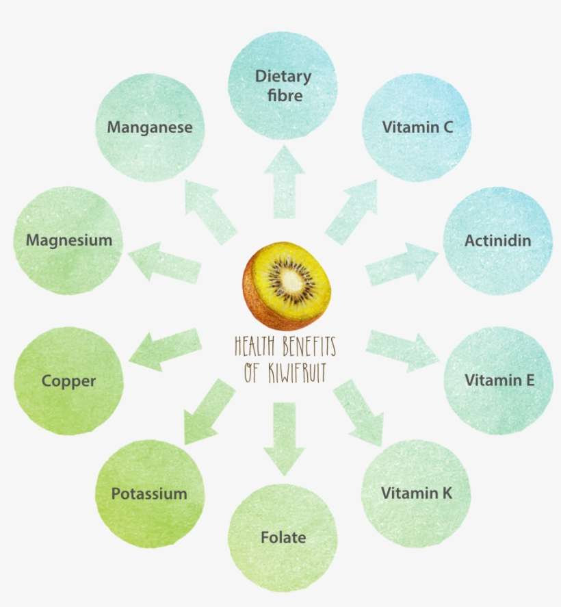 1 - - Living Lab Schéma, transparent png download