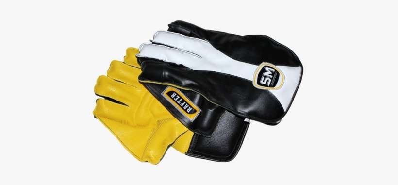 Cricket Wicket Keeping Gloves - Boxing, transparent png download