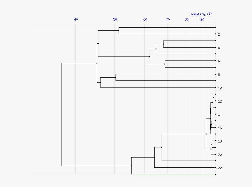Tree For Family S15 - Diagram, transparent png download