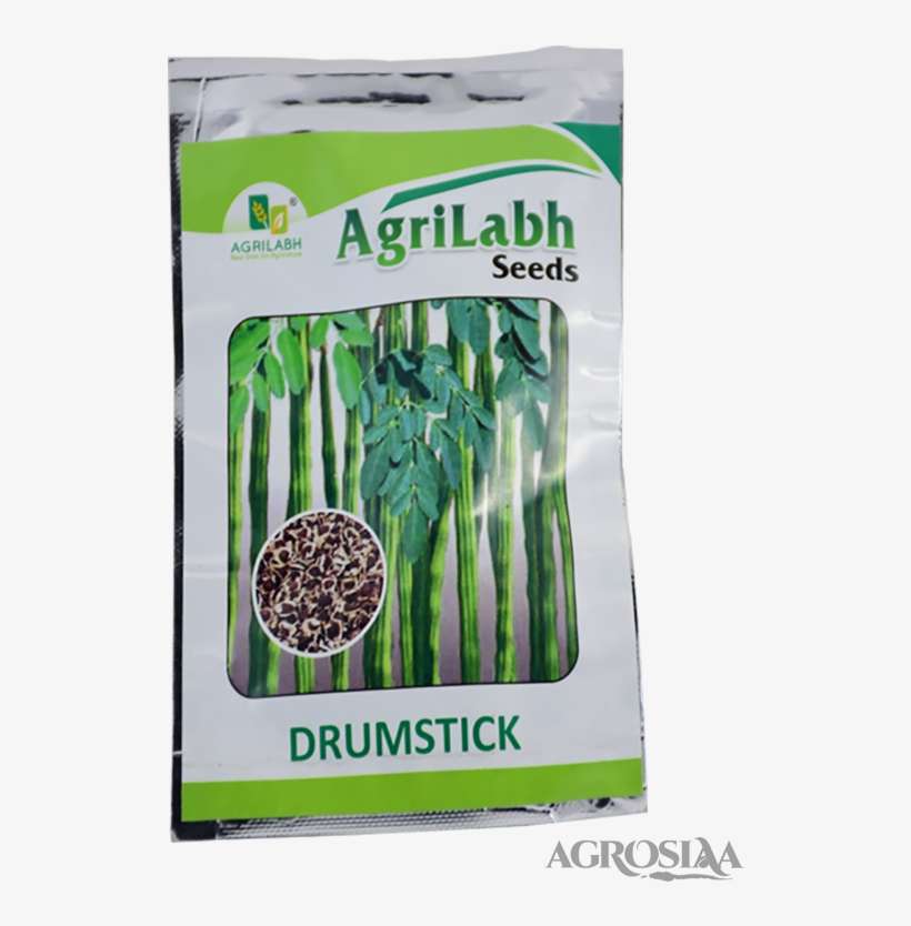100 Semillas De Moringa Oleifera Frescas Para Germinación - árbol De La Vida, Calidad Premium