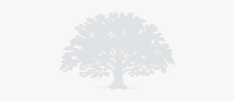 Join Wpp - Coble Mccune Wealth Management, transparent png download