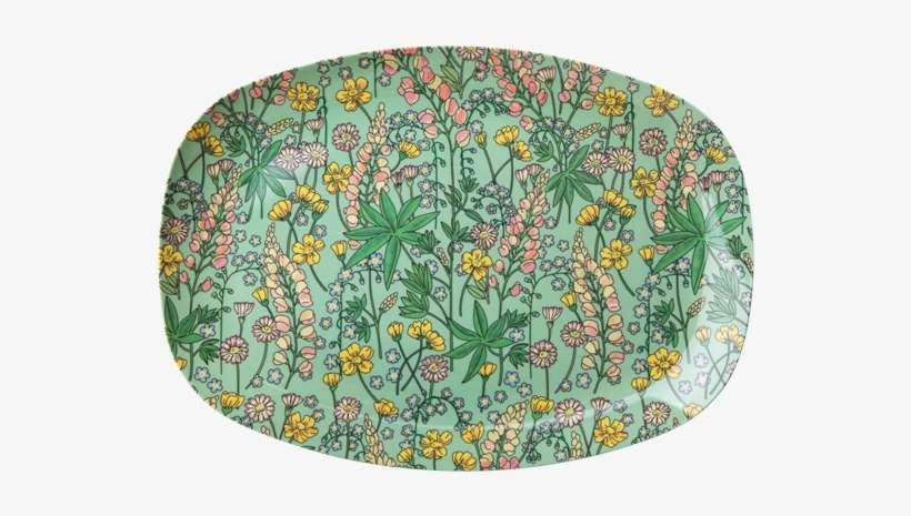 Plate, transparent png download