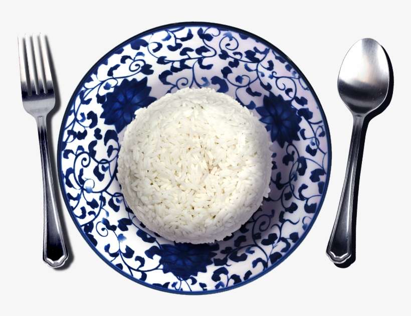 Next - Universal Rice Co.,ltd Plant 1, transparent png download