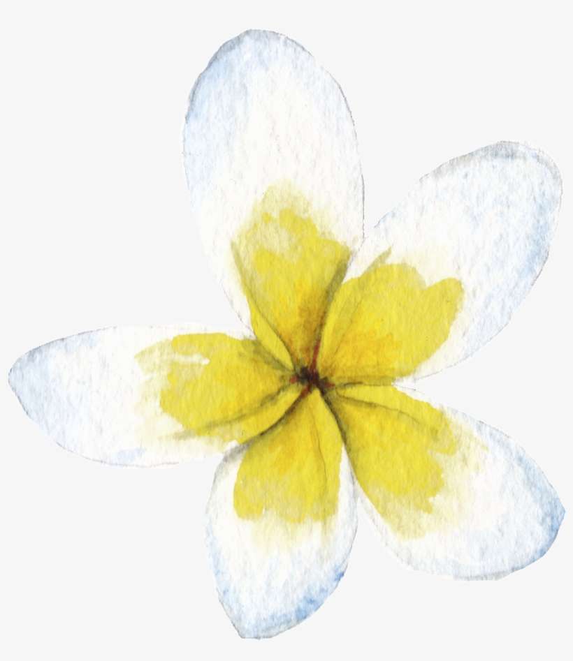 Hand Painted Watercolor Egg Flower Png Transparent - Portable Network Graphics, transparent png download
