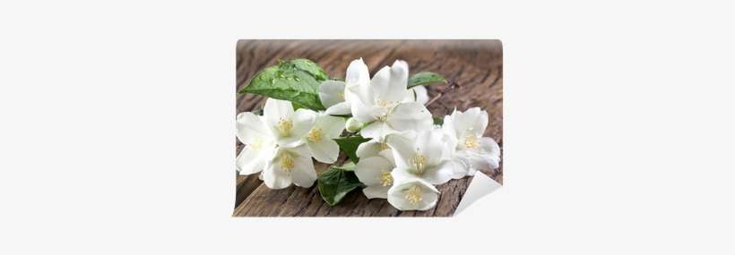 Jasmine Flowers Over Old Wooden Table - Jasmine Essential Oil 120ml With A Glass Dropper -, transparent png download