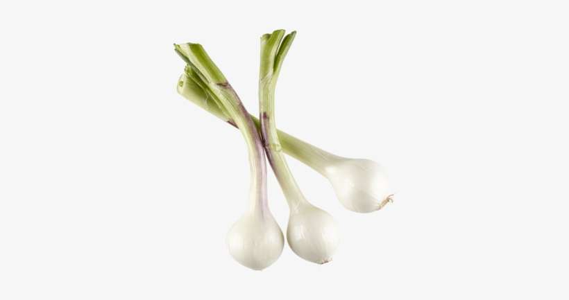 Onion Bulb Bunch - Bulb, transparent png download