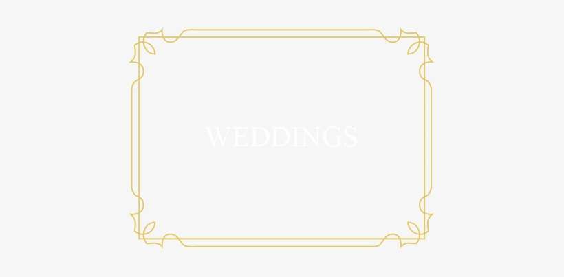 Carina Photographics Wedding Photography Gallery - Photography, transparent png download