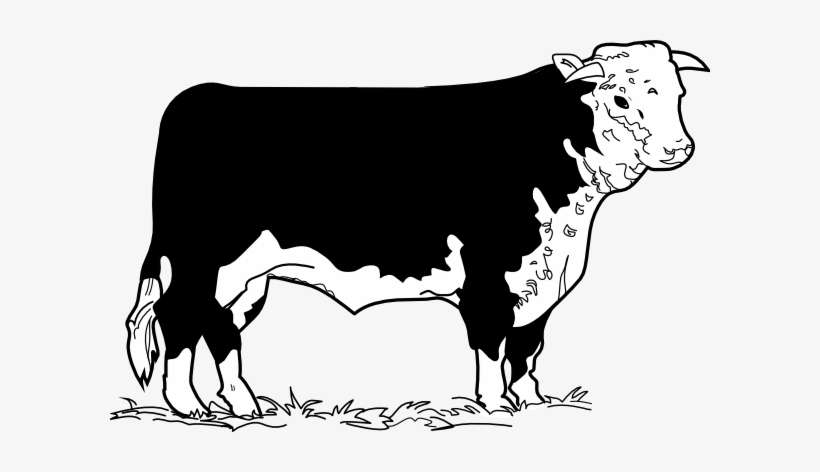 Cow In The Grass Clip Art At Clker Com Vector Clip - Methane Emission From Animals, transparent png download