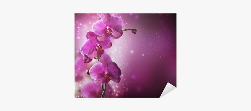 Tarjetas De Cumpleaños Con Orquideas, transparent png download