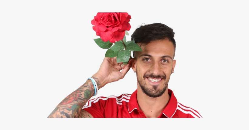 Maximiliano Urruti - Garden Roses, transparent png download