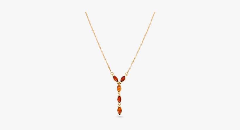 Gold Necklace With Amber, - Necklace, transparent png download