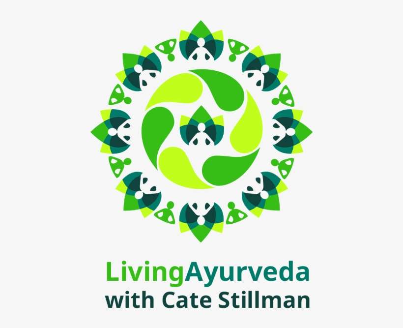 How To Thrive With Ayurveda - Conversation, transparent png download