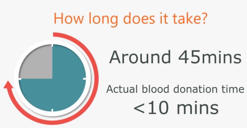 Click For More Information - Circle, transparent png download