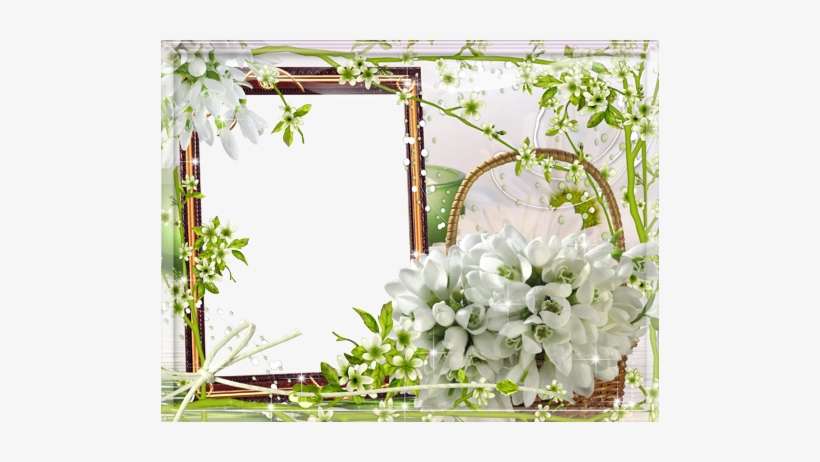 Bunch Of Snowdrops - Днем Святого Николая 22 Мая, transparent png download