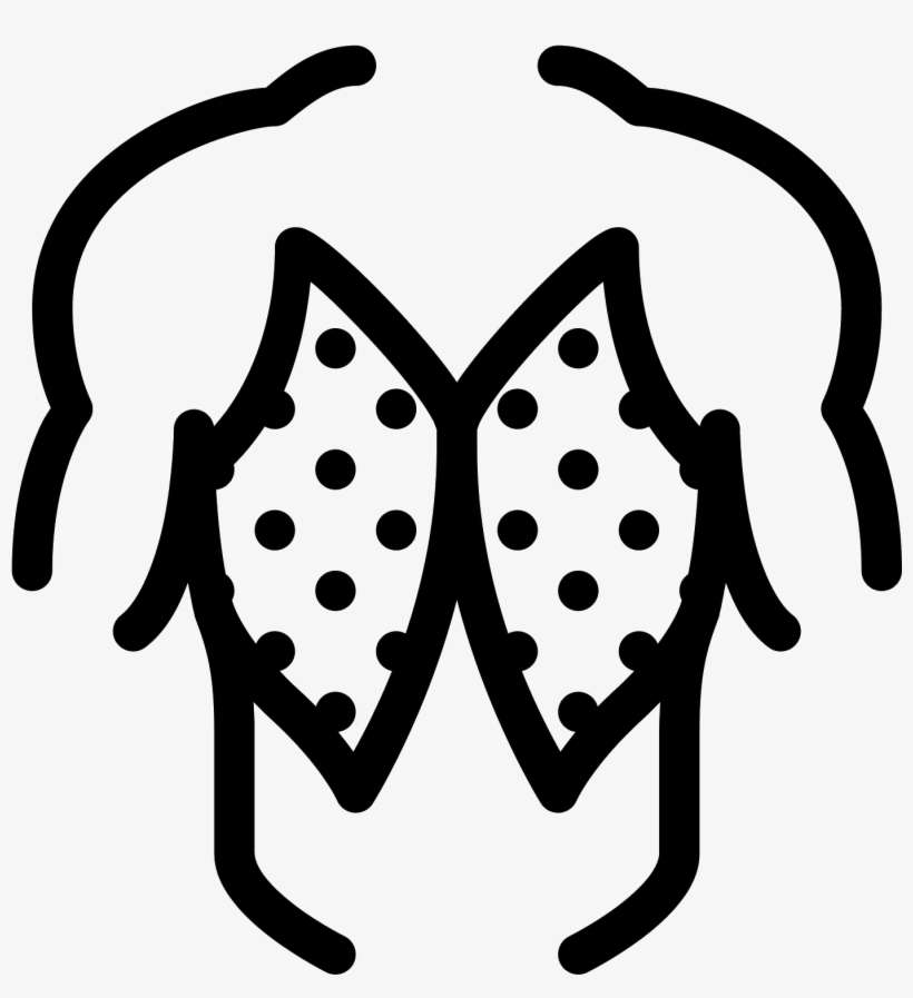 This Icon Is The Outline Of A Muscular Man's Torso, - Icon, transparent png download