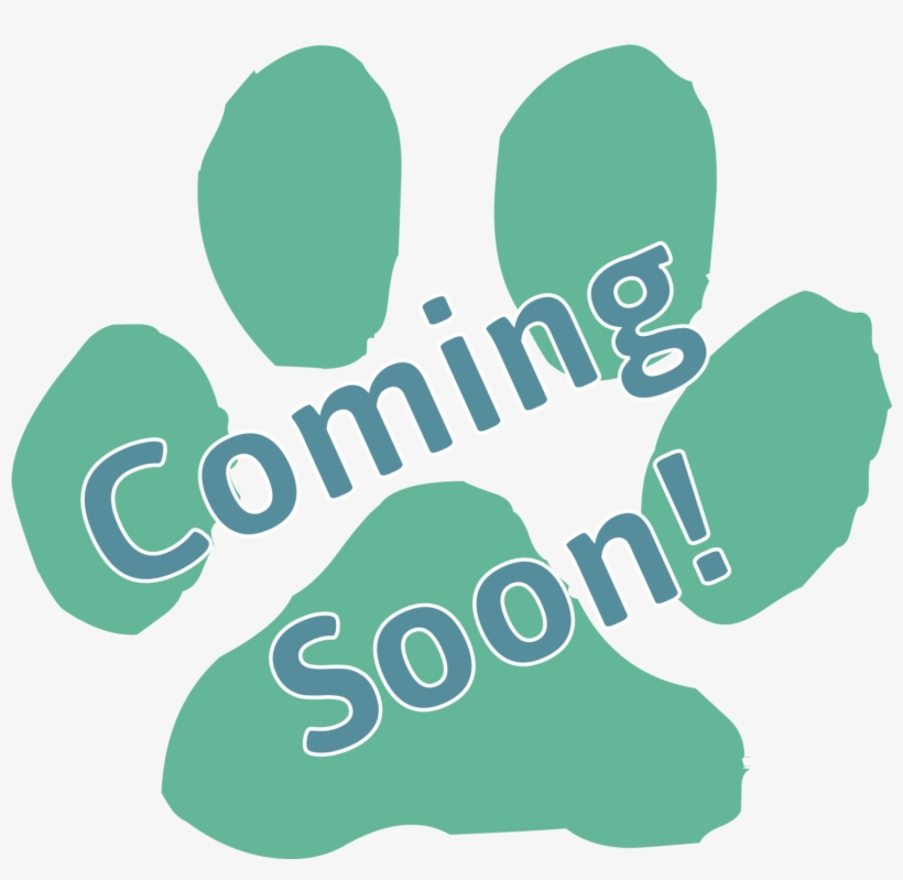 William S - Caring Hands Animal Hospital, transparent png download