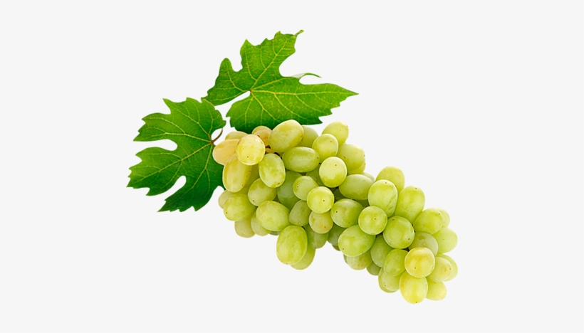 Fruits And Veggies - Grape, transparent png download