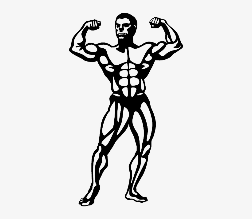 Superset Bodybuilding - Body Builder Clip Art, transparent png download
