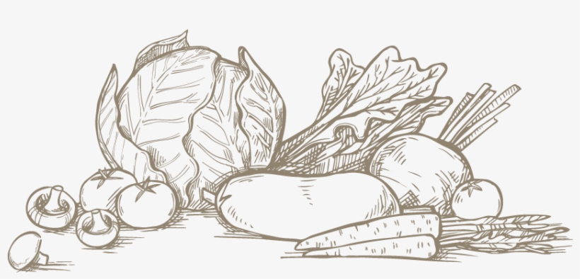 Fruit, Vegetables, Flowers - Vector Graphics, transparent png download