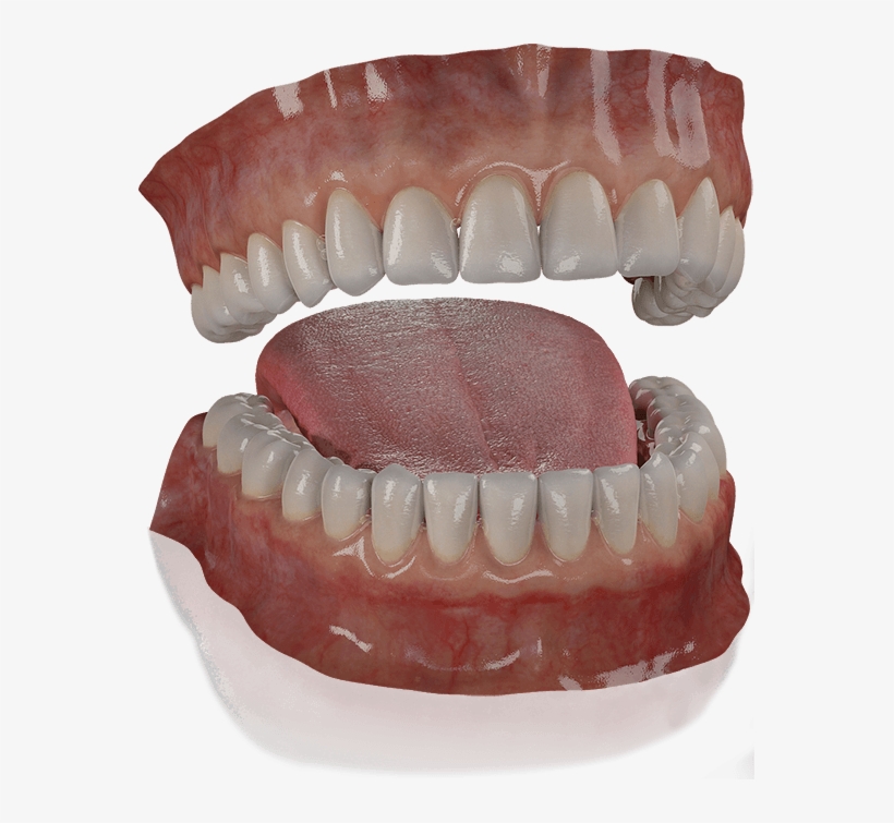 Subscribe Download - 3d Modeling, transparent png download