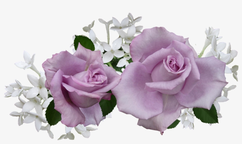 Mauve, Rose, With, White, Flowers - Mauve Flowers, transparent png download