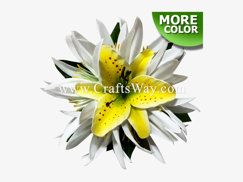 Red Spider Lily, transparent png download