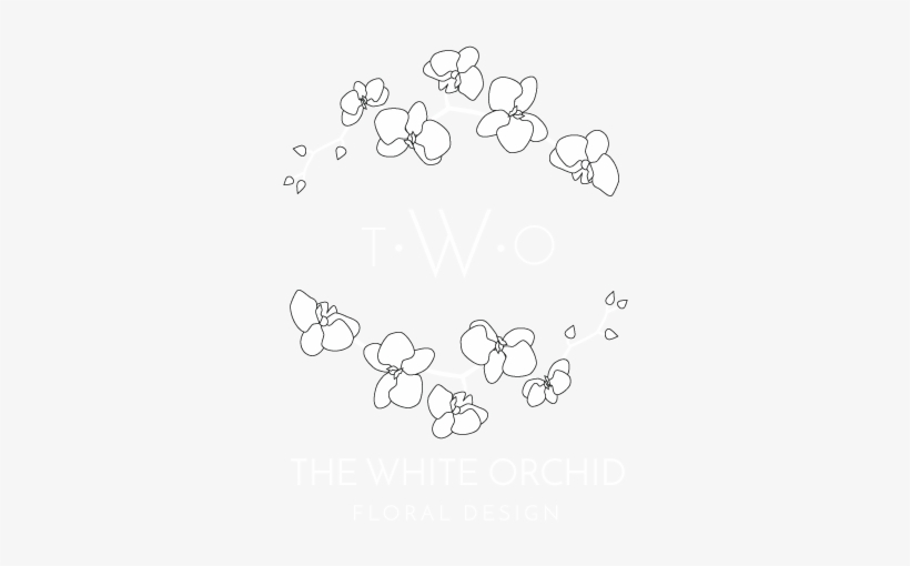 White Orchid Illustration, transparent png download
