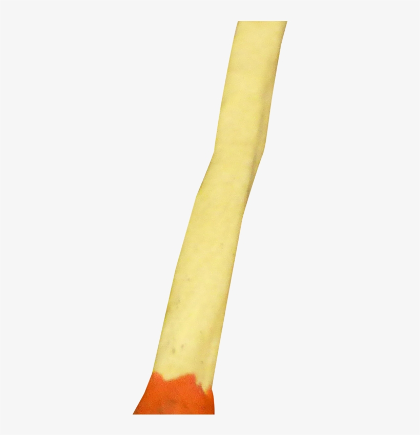 Matchstick Png Transparent Image - Goose, transparent png download