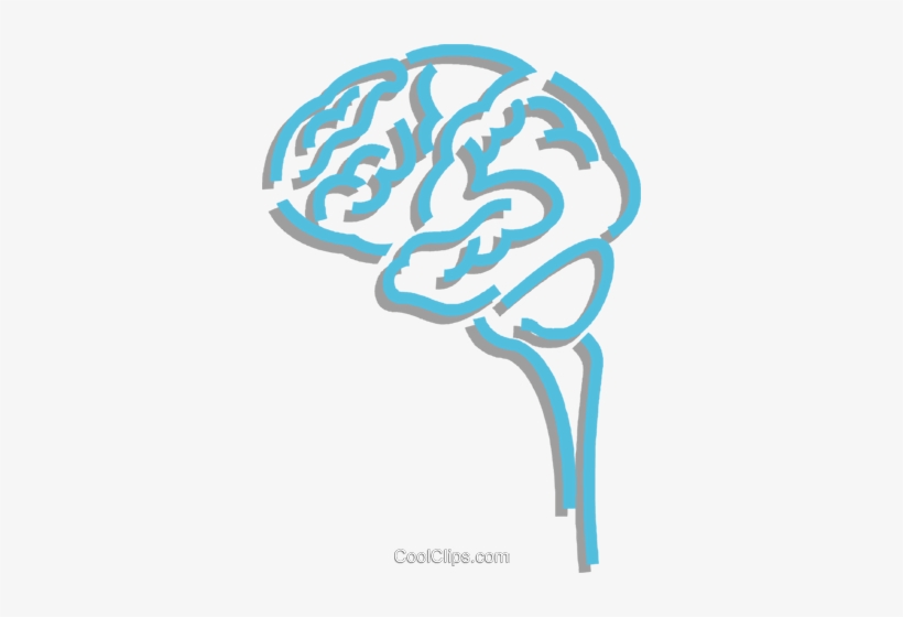 Human Brain Royalty Free Vector Clip Art Illustration - Illustration, transparent png download
