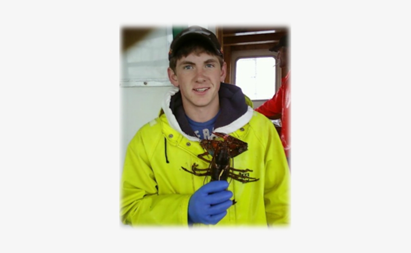 Kat's Lobster Shack - American Lobster, transparent png download