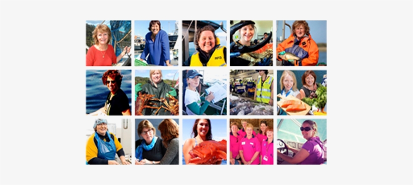 Women In Seafood - Womens Industry Seafood Network, transparent png download