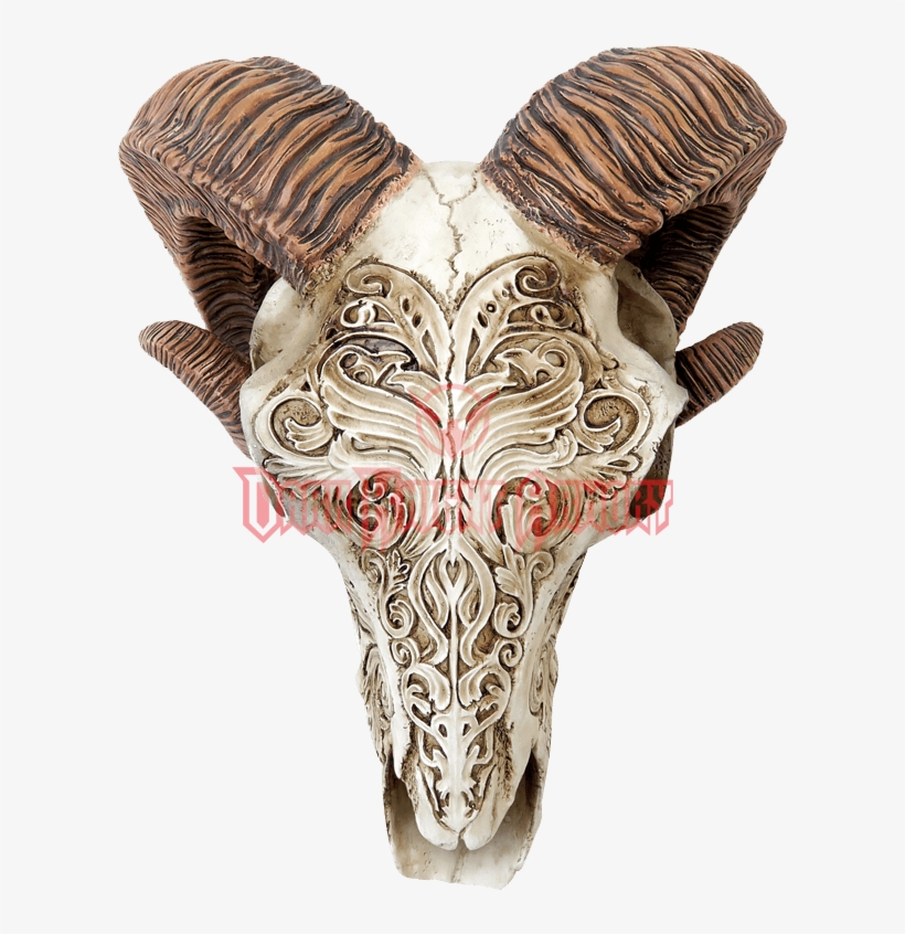 Scrimshaw Ram Skull, transparent png download