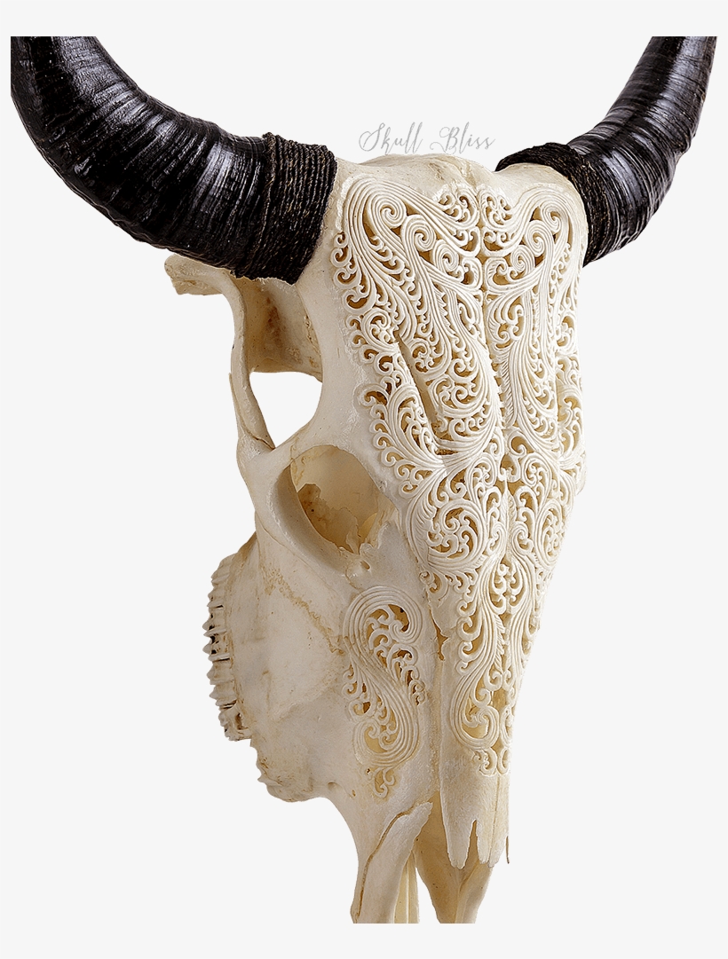 Design Toscano Corsican Ram Skull And Horns Wall Sculpture - Skull, transparent png download